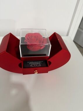 Red Preserved Rose Display Jewelry Box - Brand